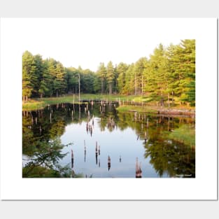 Beaver Pond Frontenac Provincial Park No.1 Posters and Art